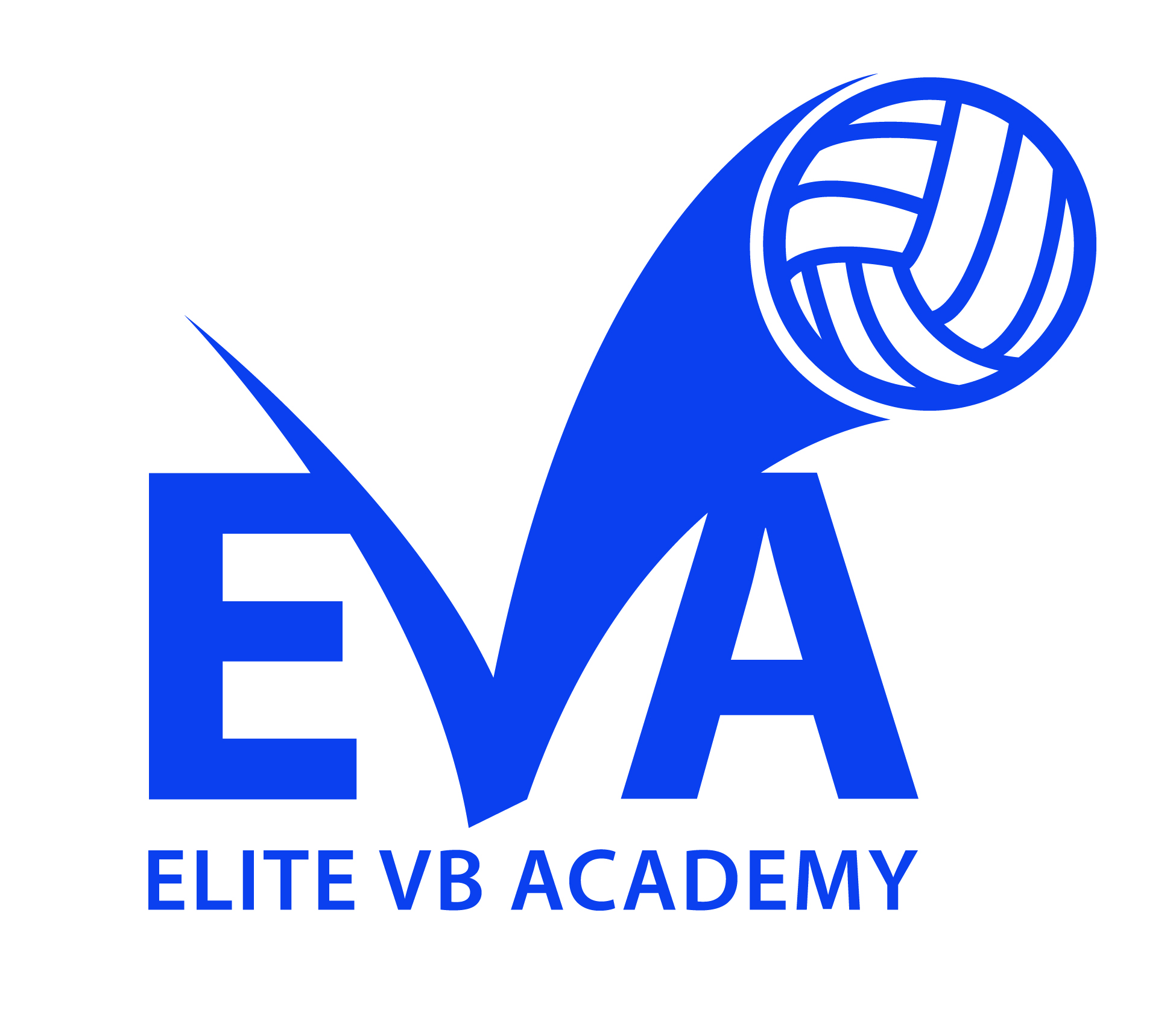 Elite VB Academy