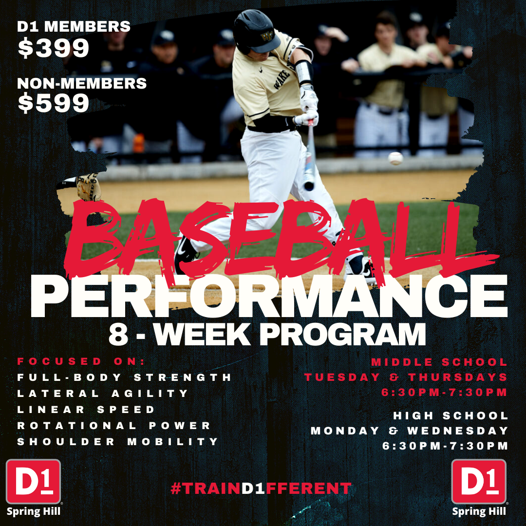 Baseball performance camp flyer